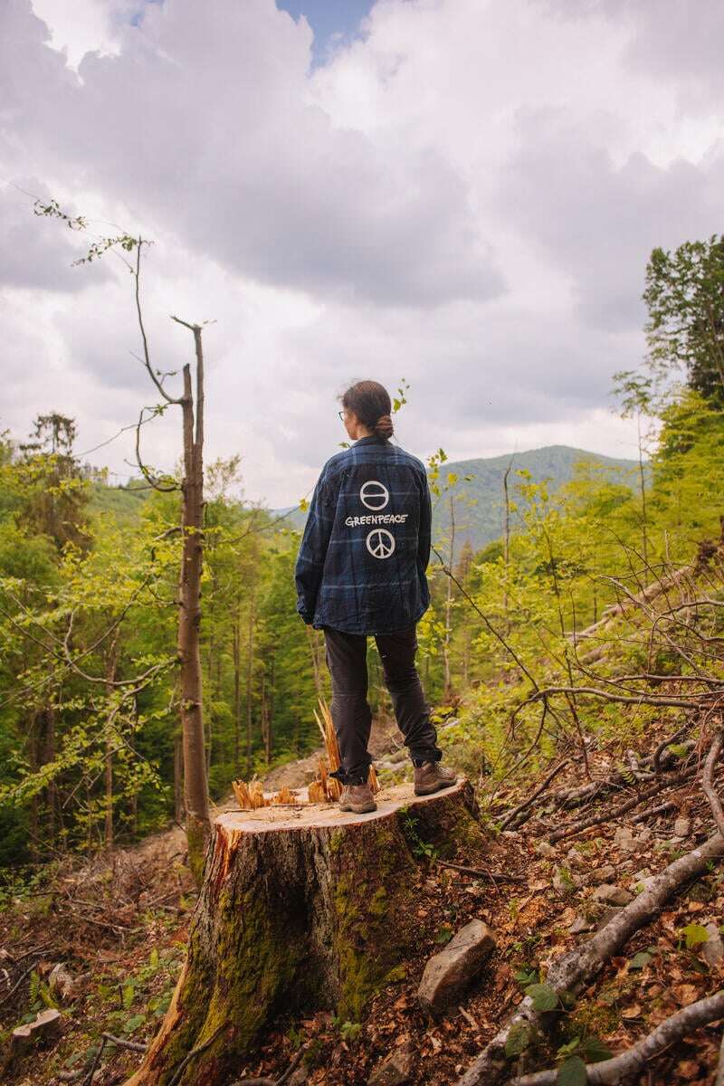 karpaty - Natalia